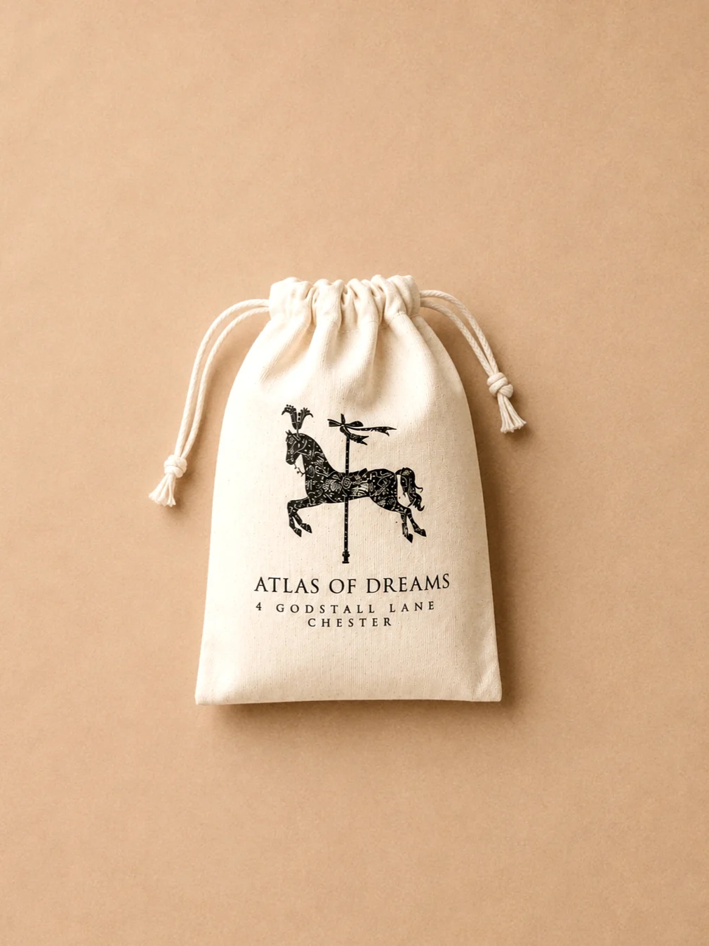 Andrea Atlas Signature Chain Earrings N°21 in Gold - Image 4